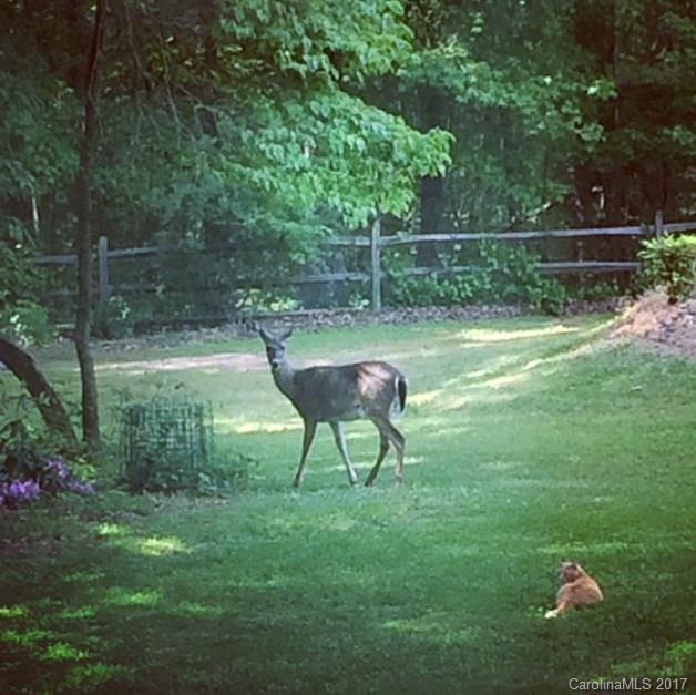 Cherry Hills - Residential