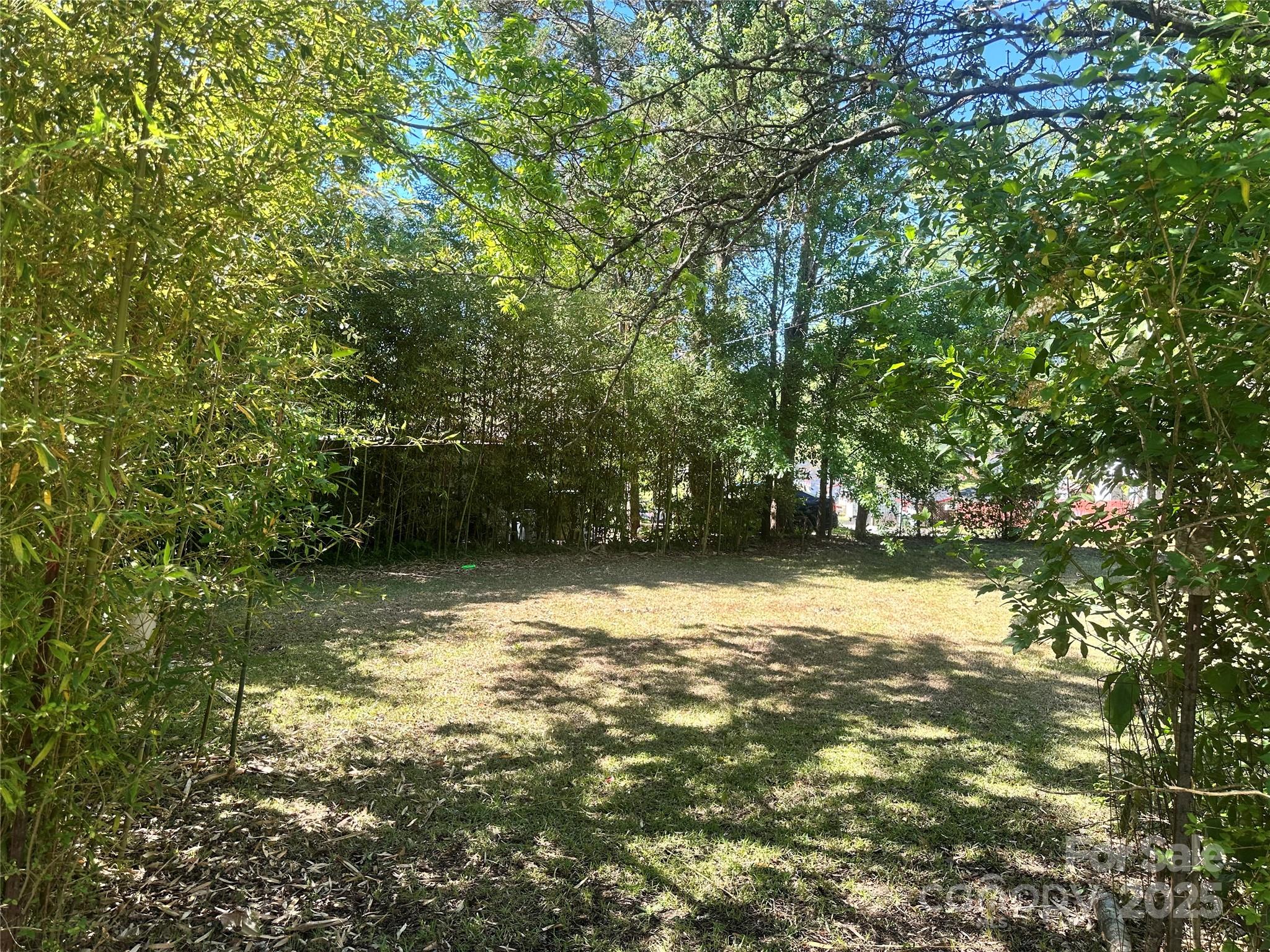 301 Louise Street
