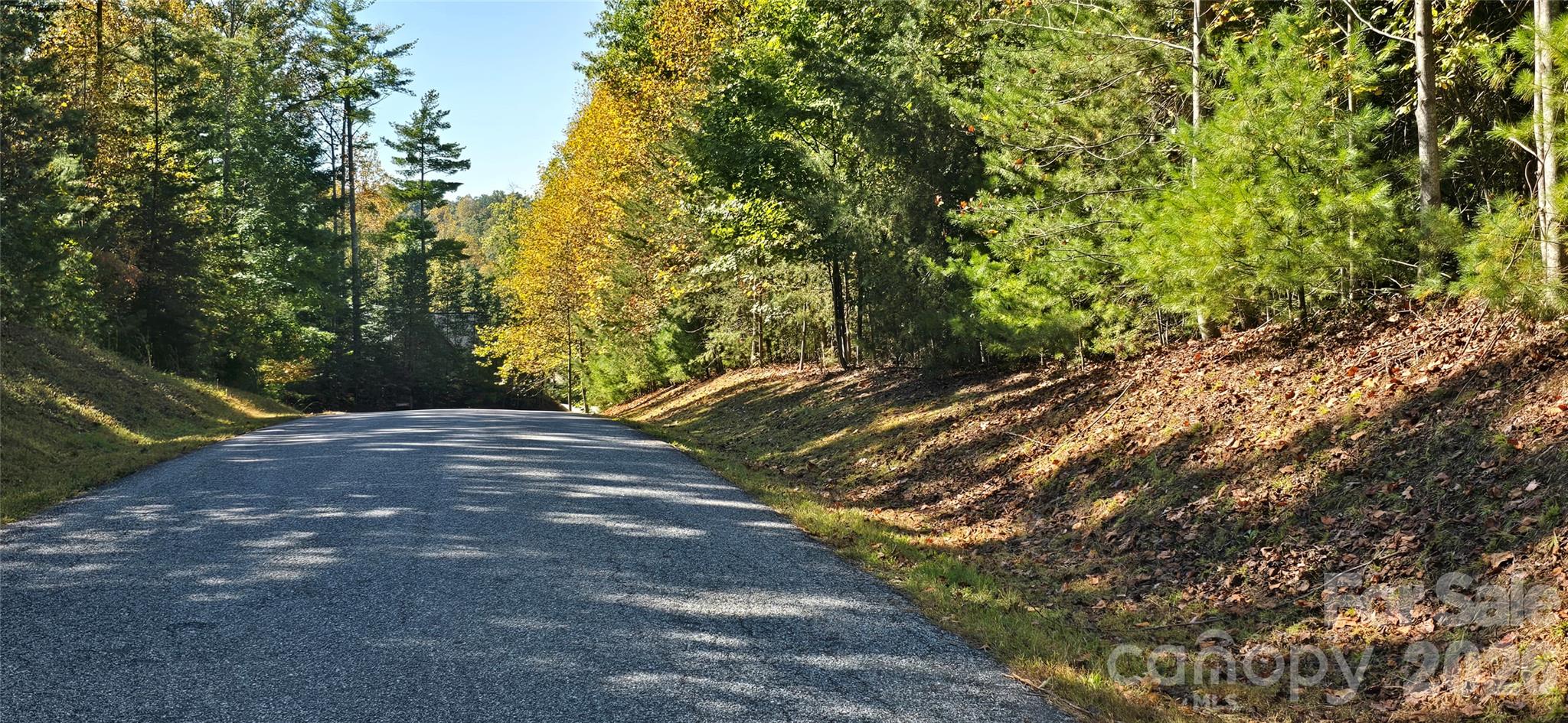 208 Turning Leaf Drive 166