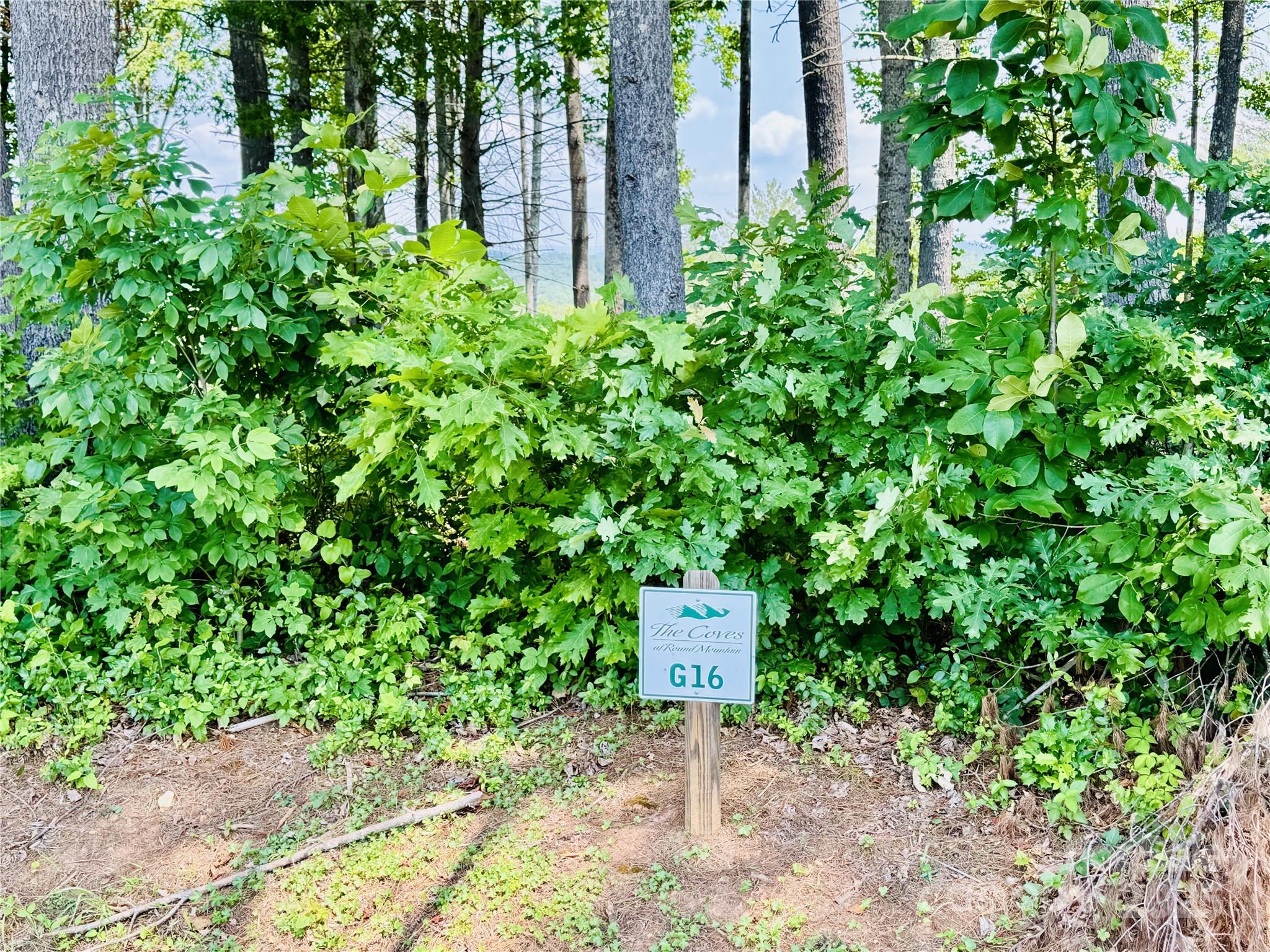 2.07 acres, 2058 Thoroughbred Way Lot G16