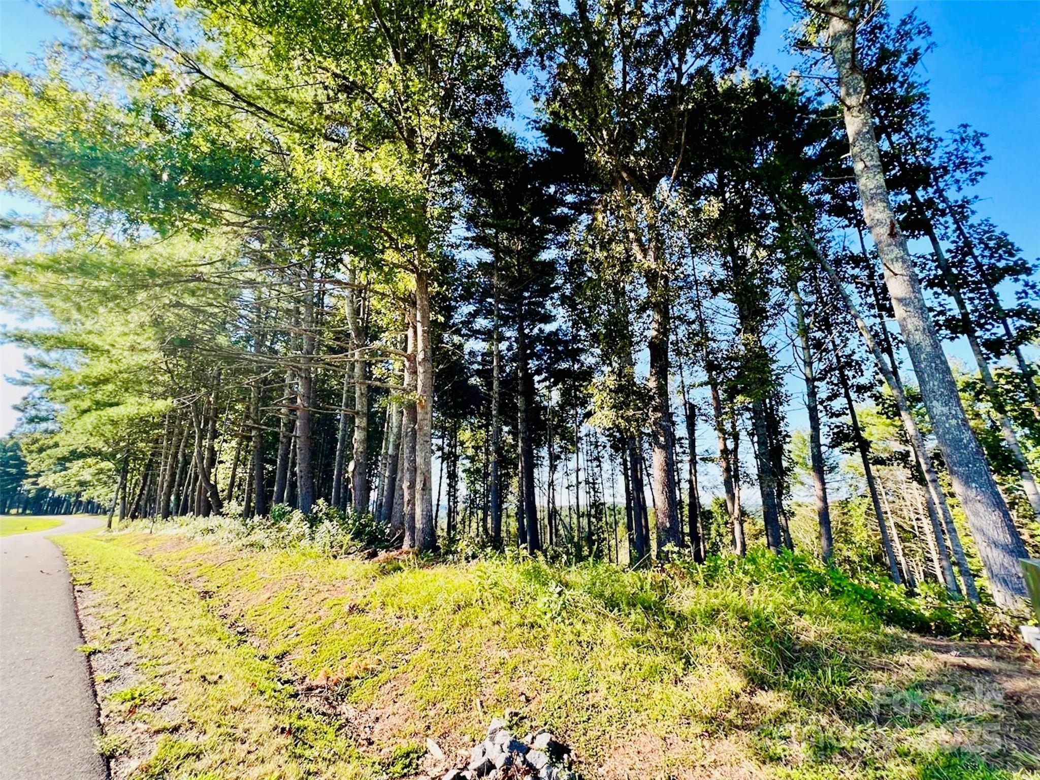 The Coves Mountain River Club - Land