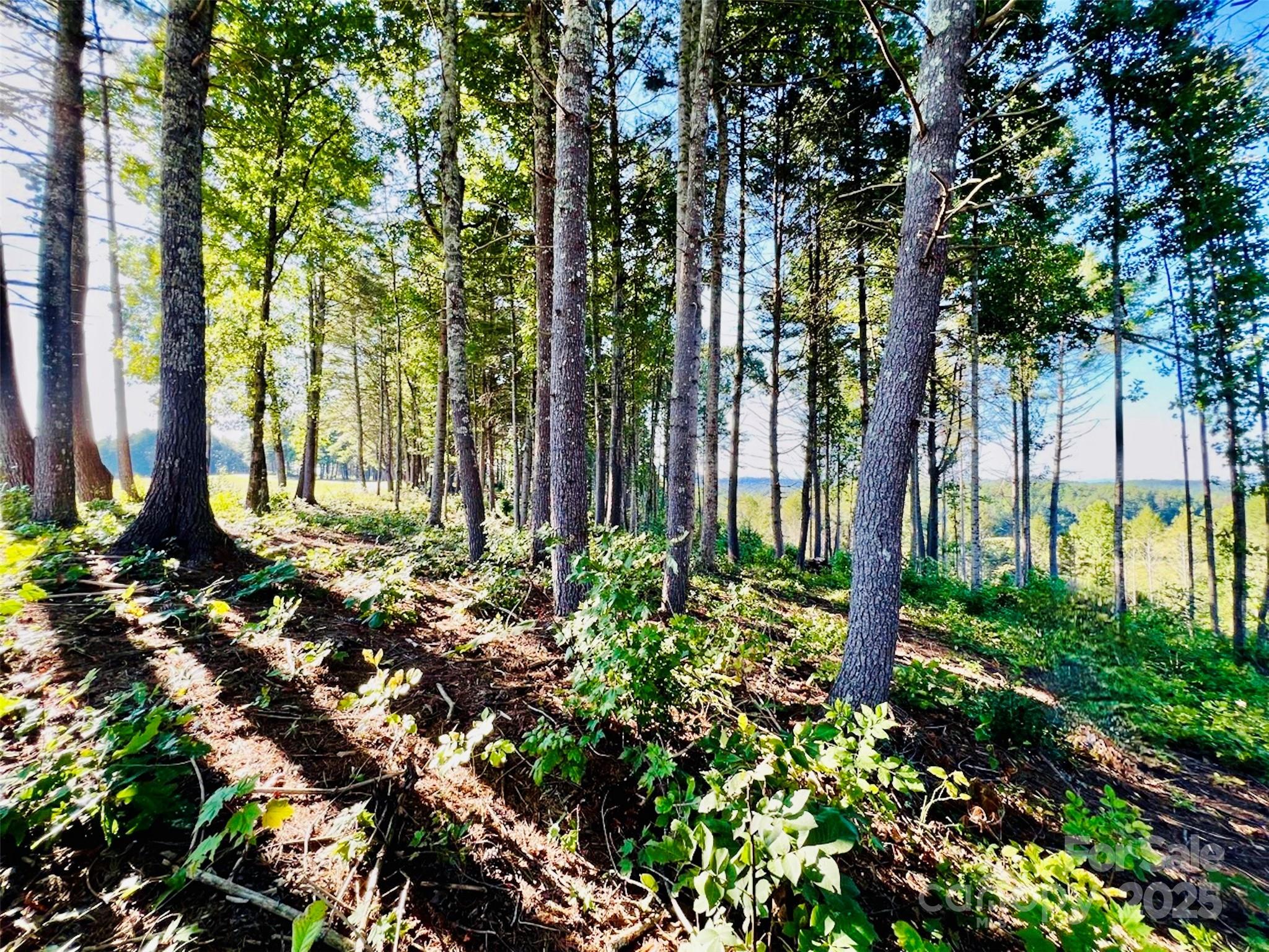 2.07 acres, 2058 Thoroughbred Way Lot G16
