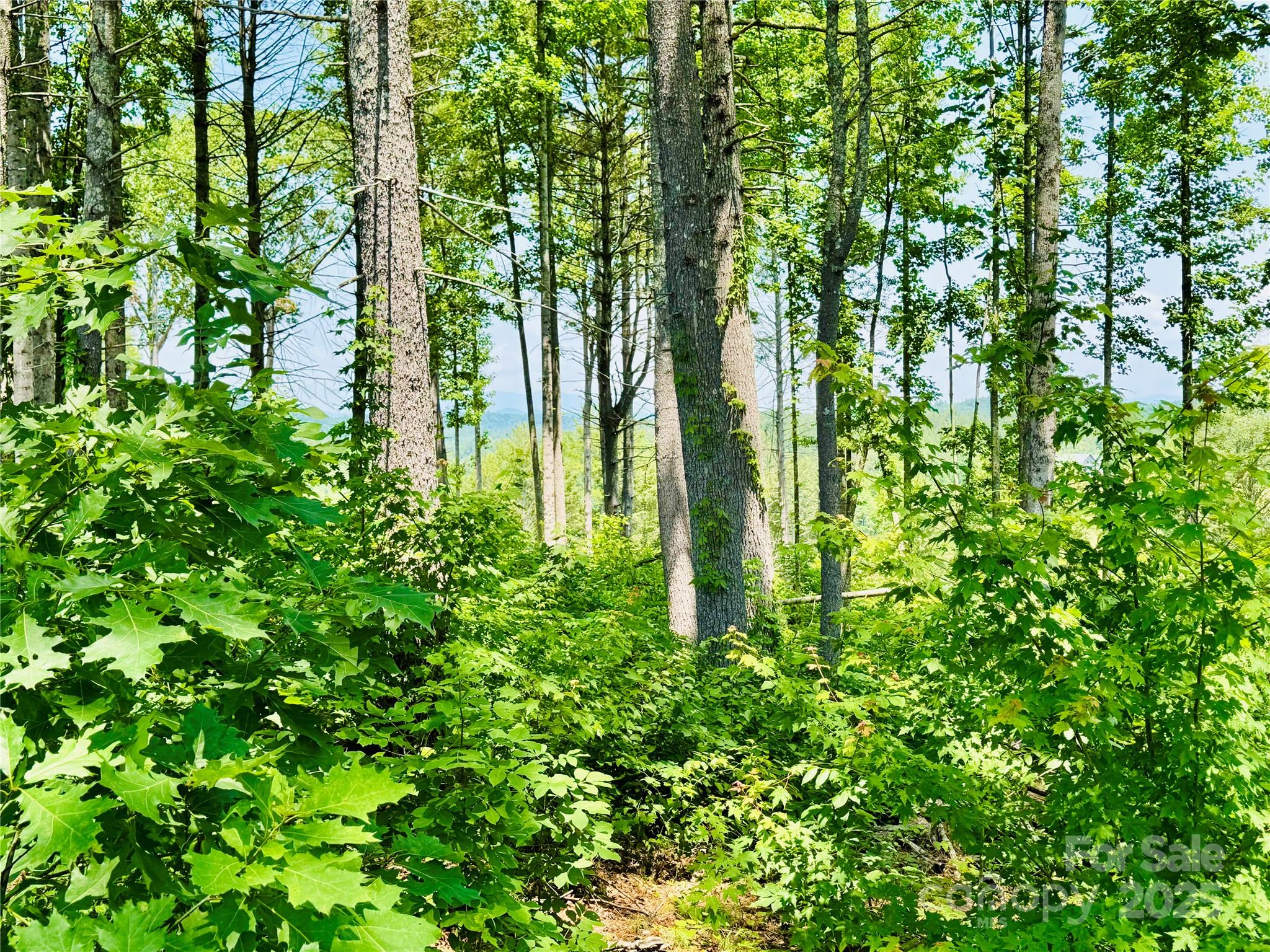 The Coves Mountain River Club - Land