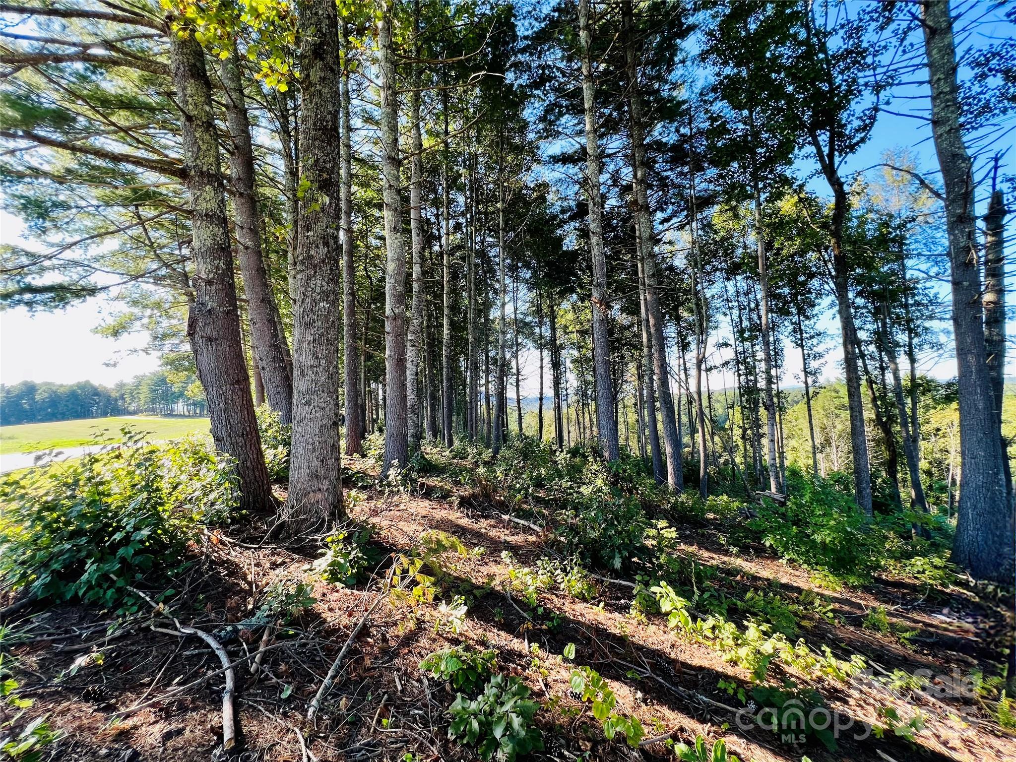2.07 acres, 2058 Thoroughbred Way Lot G16