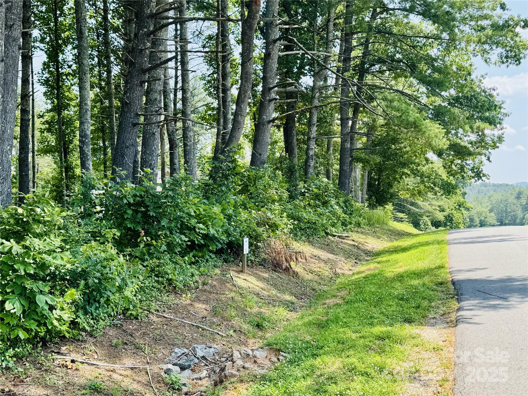 The Coves Mountain River Club - Land