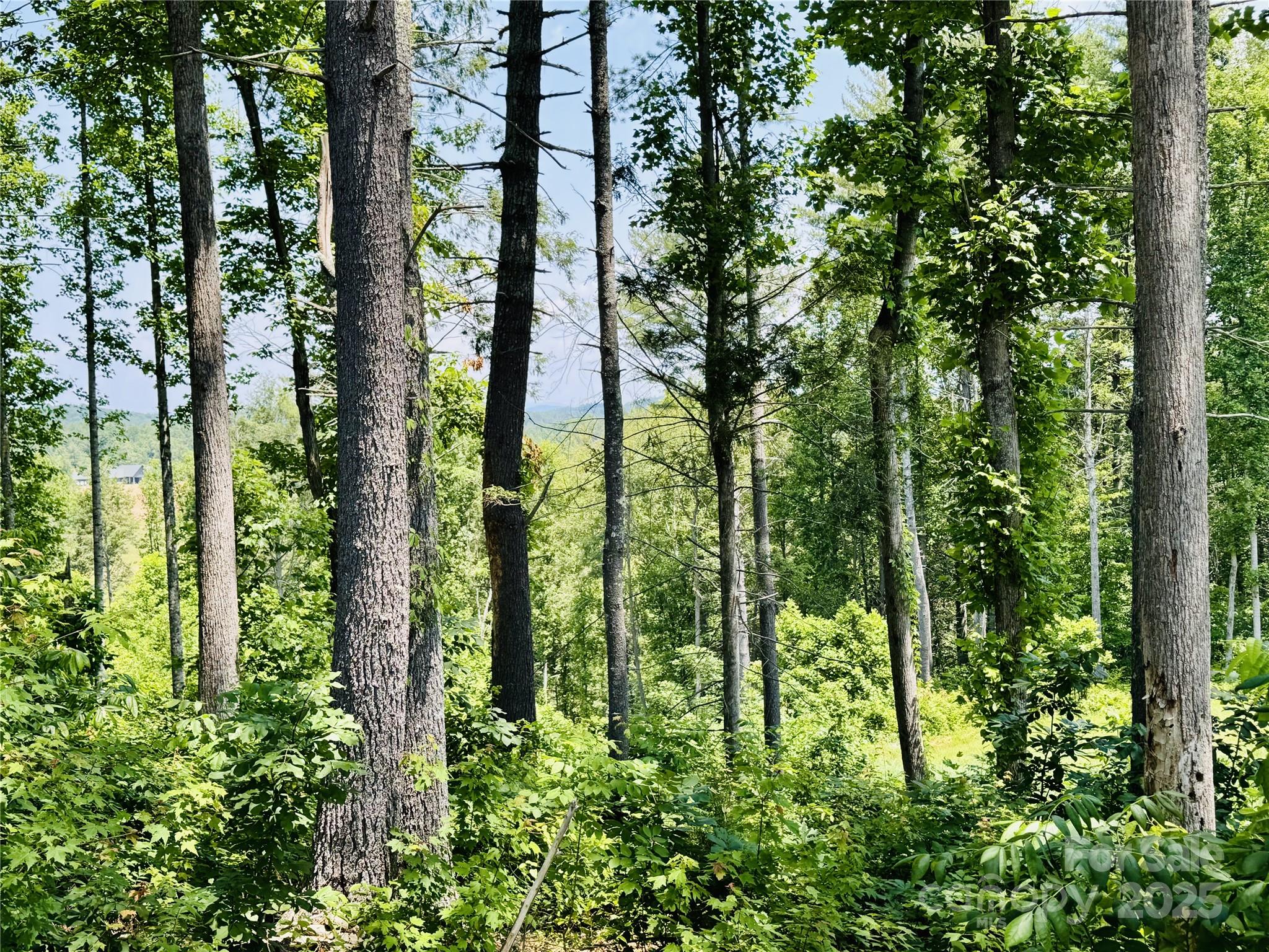 The Coves Mountain River Club - Land