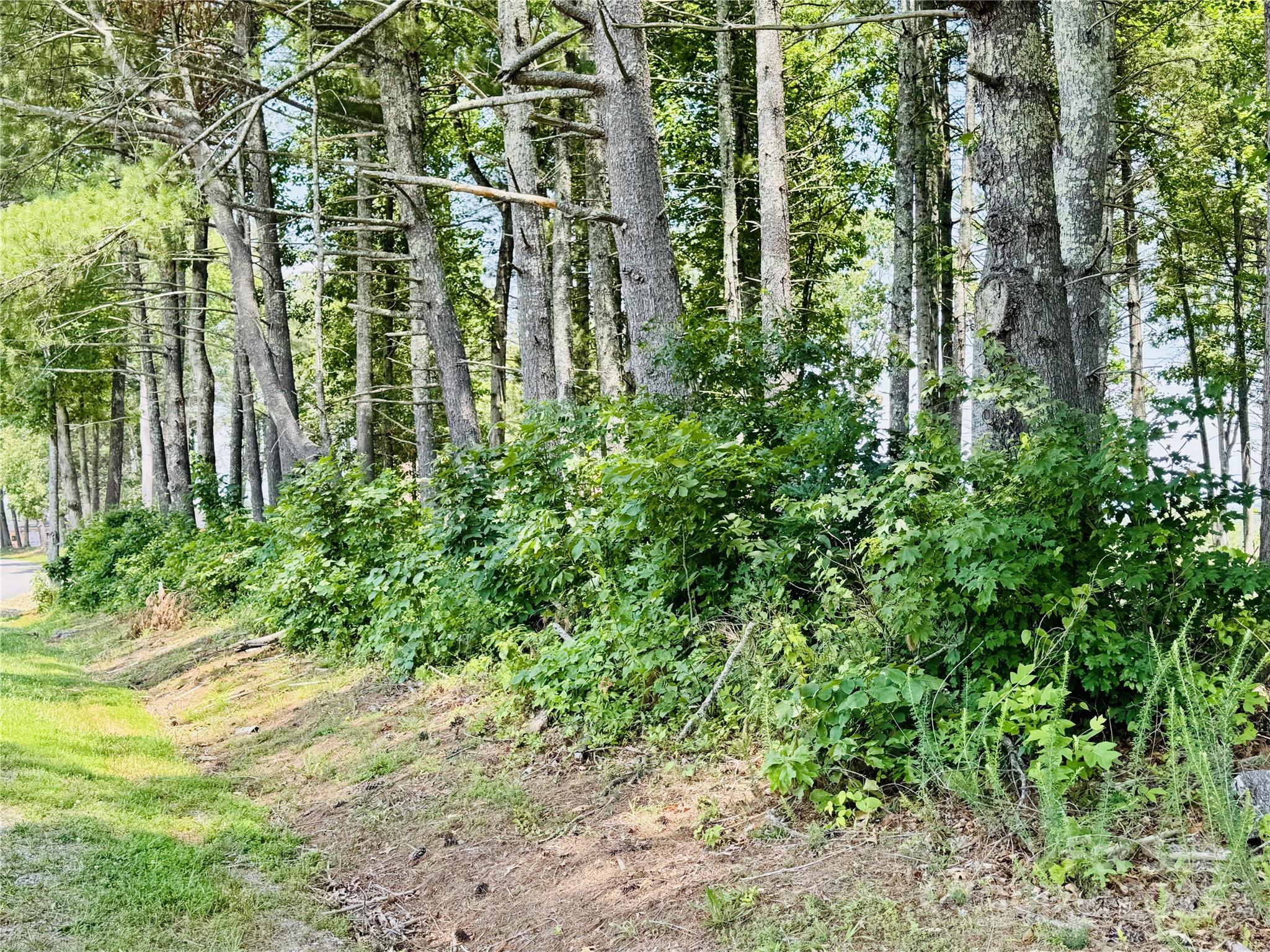 The Coves Mountain River Club - Land