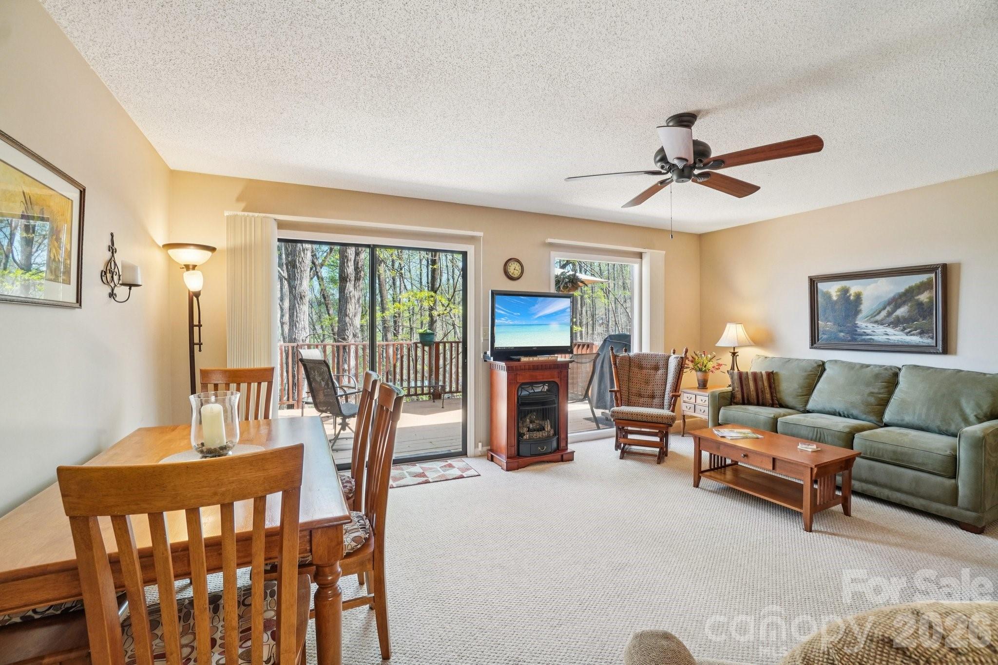 Rumbling Bald on Lake Lure - Residential