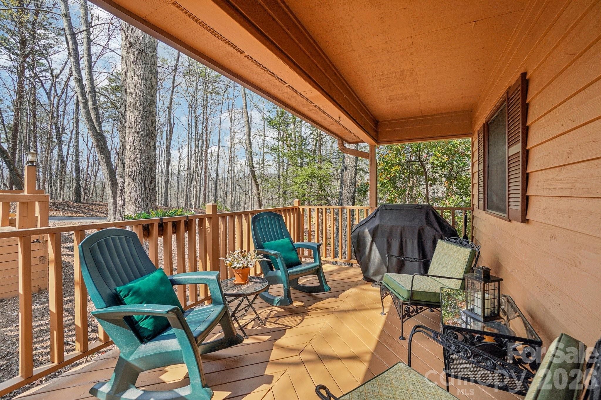Rumbling Bald on Lake Lure - Residential