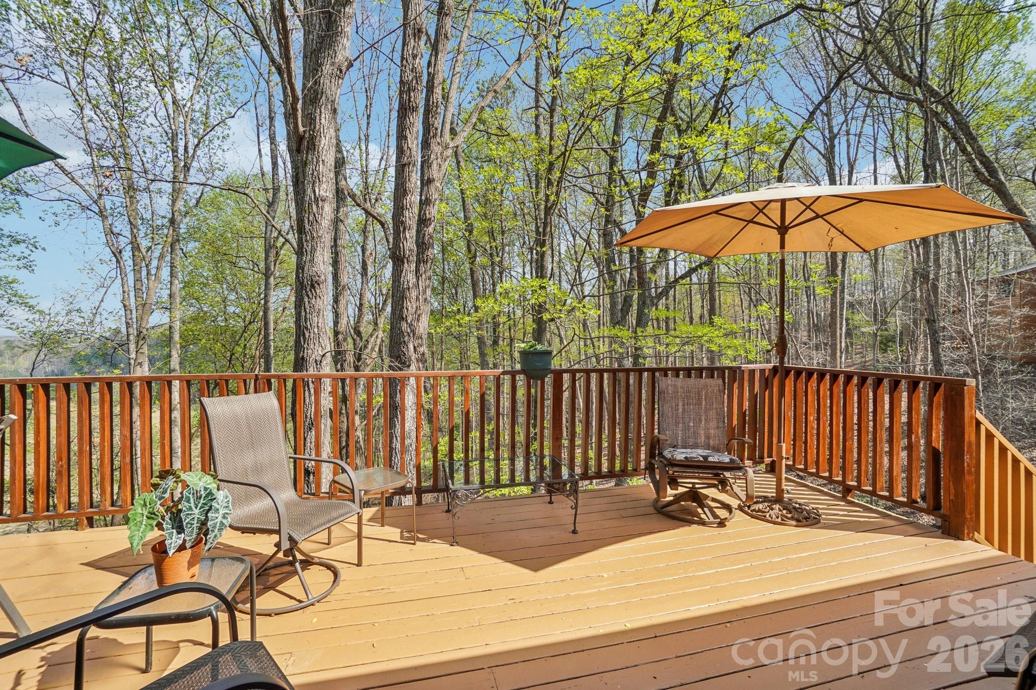 Rumbling Bald on Lake Lure - Residential