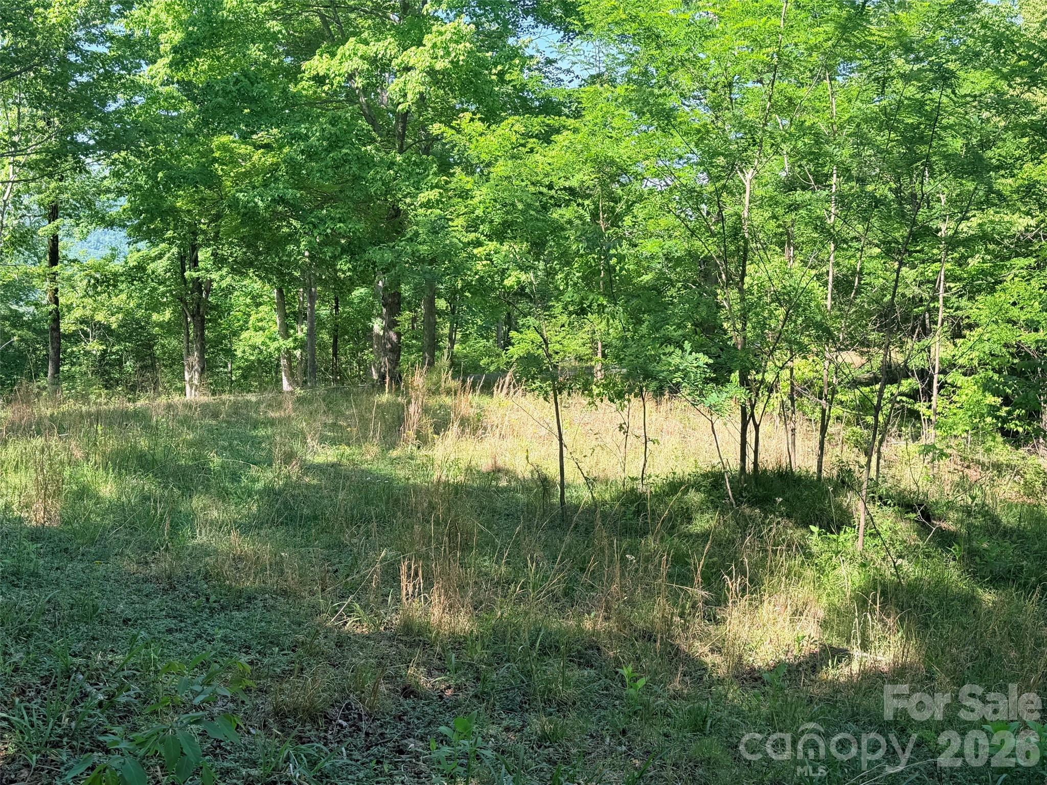 Photo 1 of 28 — Lot 8 High Rock Ridge, Lake Lure, NC 28746