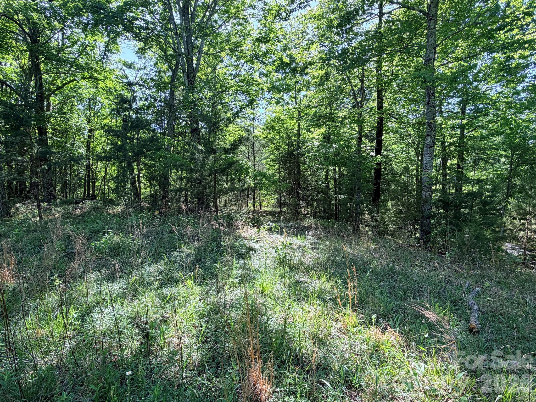 Lot 8 High Rock Ridge