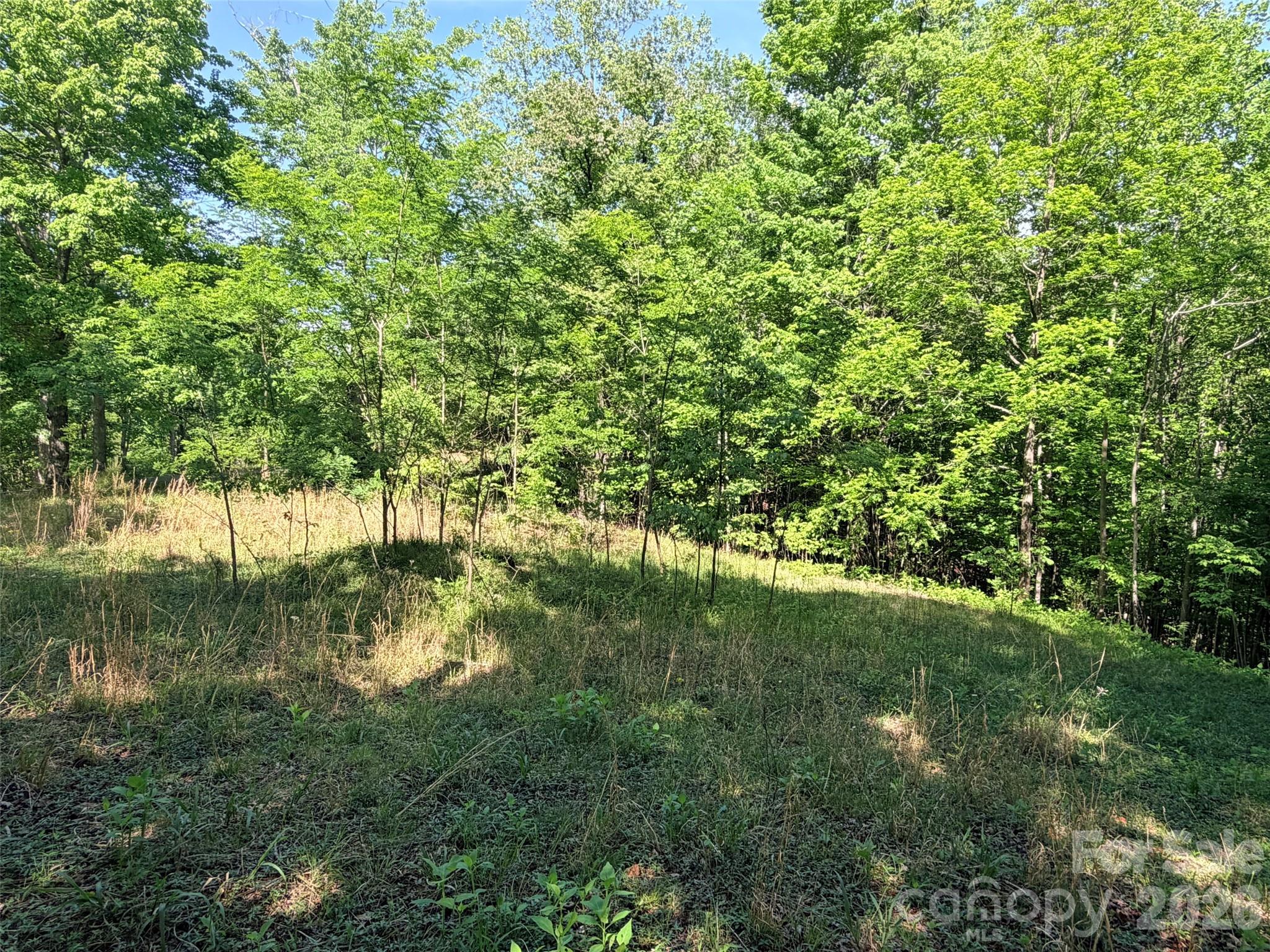 Lot 8 High Rock Ridge
