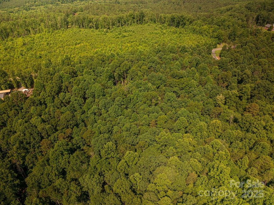 Discover the perfect canvas for your dream home on this beautiful 2.07-acre lot offering scenic mountain views and endless possibilities. Whether you're looking to build a private retreat or a full-time residence, this spacious parcel provides the ideal setting—peaceful, private, and surrounded by nature. The lot is gently sloped and ready for development, with building plans available upon request to help you get started. Enjoy the serenity of country living while still being within convenient distance to local amenities. Don’t miss this opportunity to bring your vision to life in a truly picturesque setting!