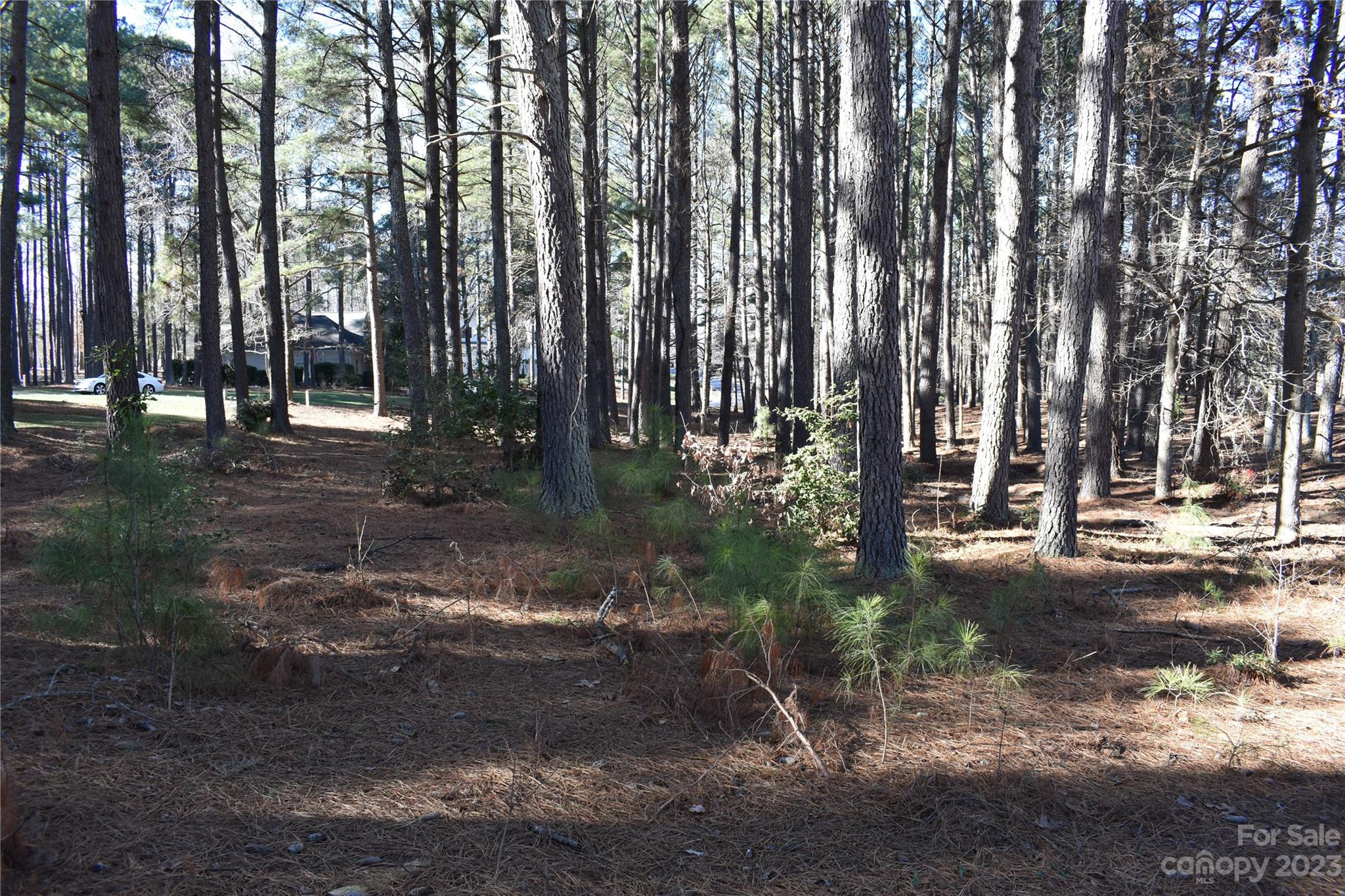 Uwharrie Point - Land