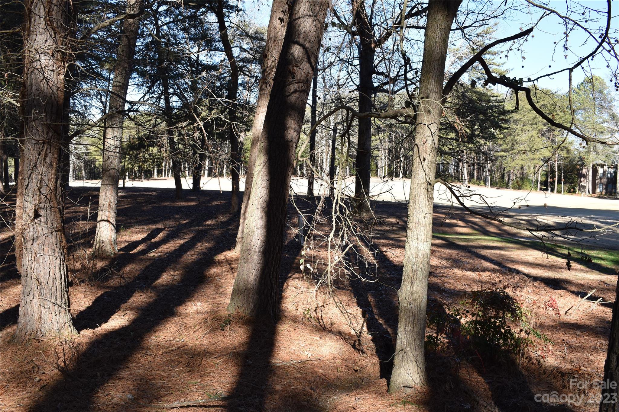 Uwharrie Point - Land