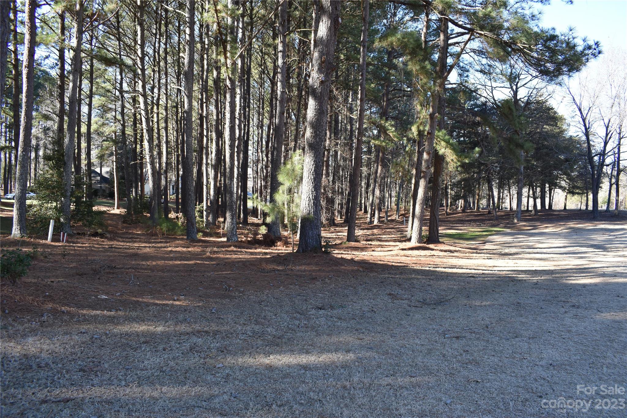 Uwharrie Point - Land