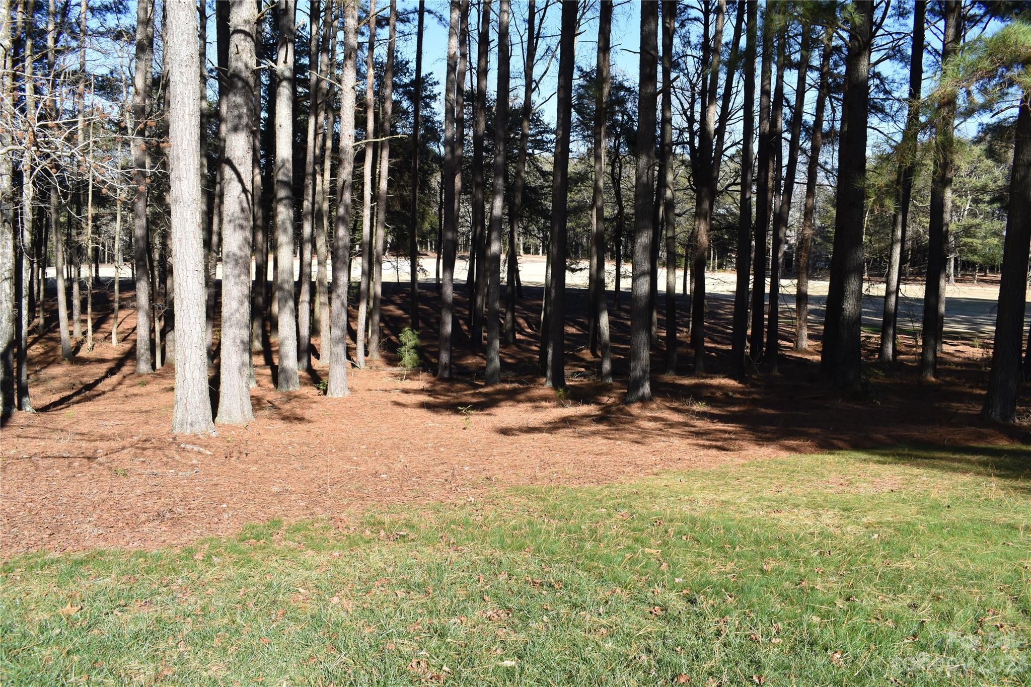 Uwharrie Point - Land
