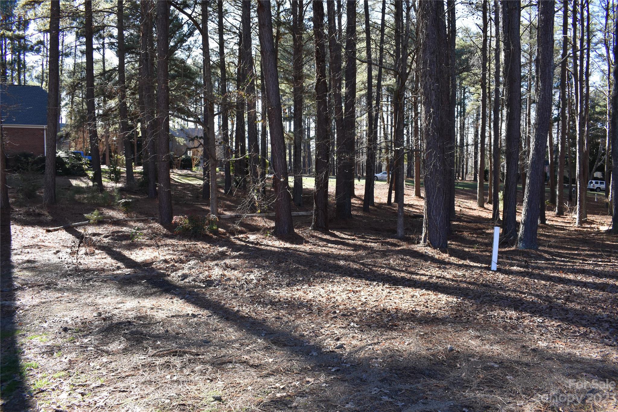 Uwharrie Point - Land