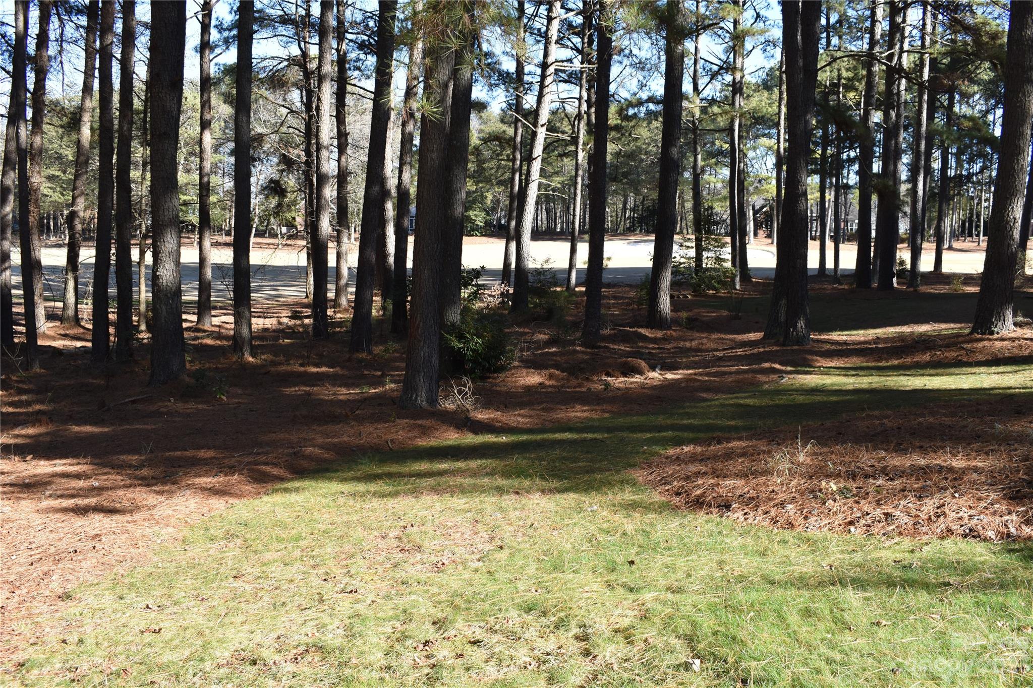 Uwharrie Point - Land