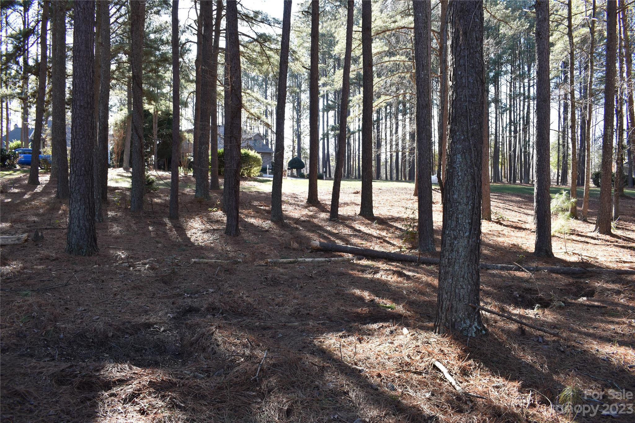 Uwharrie Point - Land