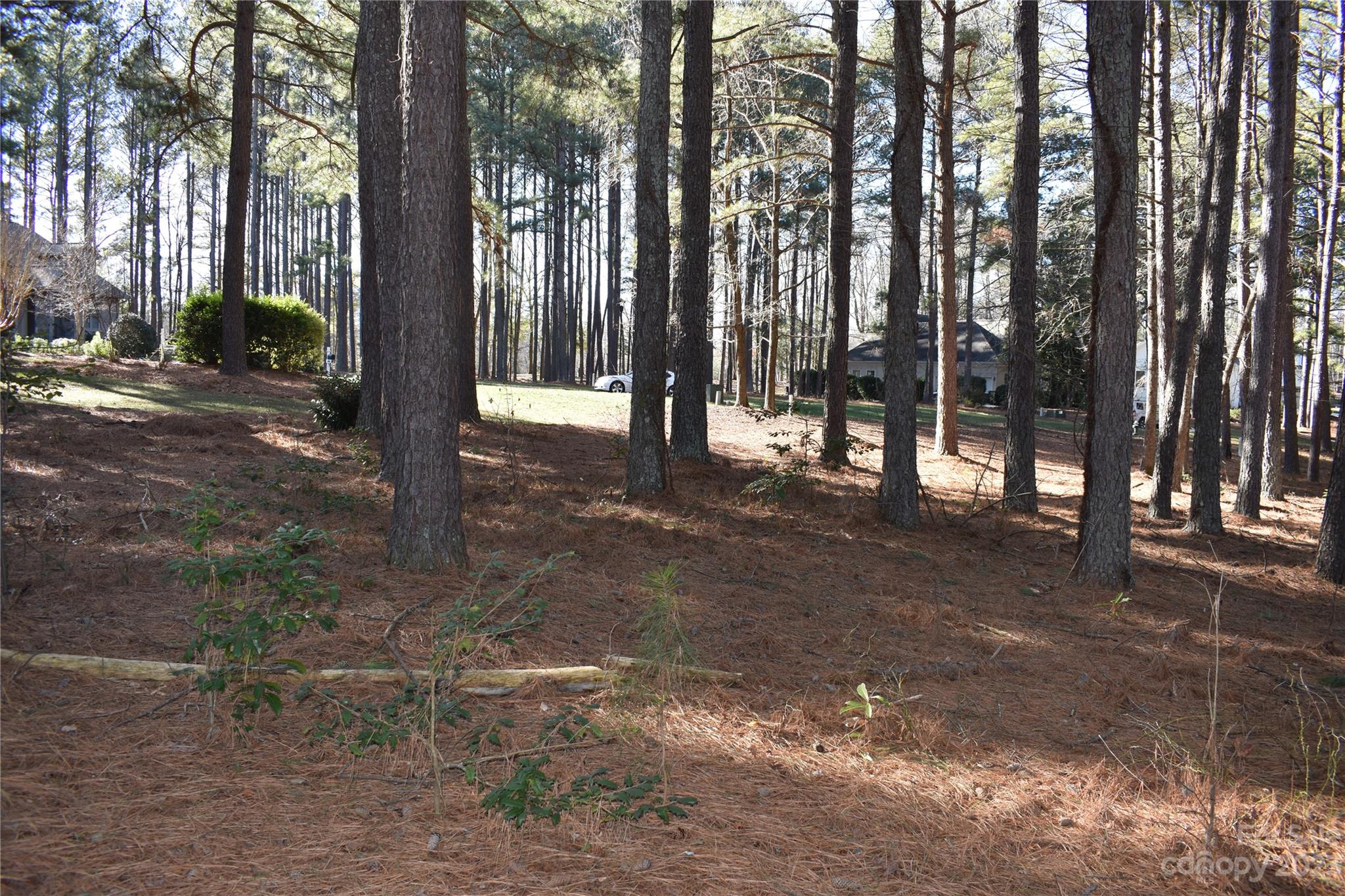 Uwharrie Point - Land