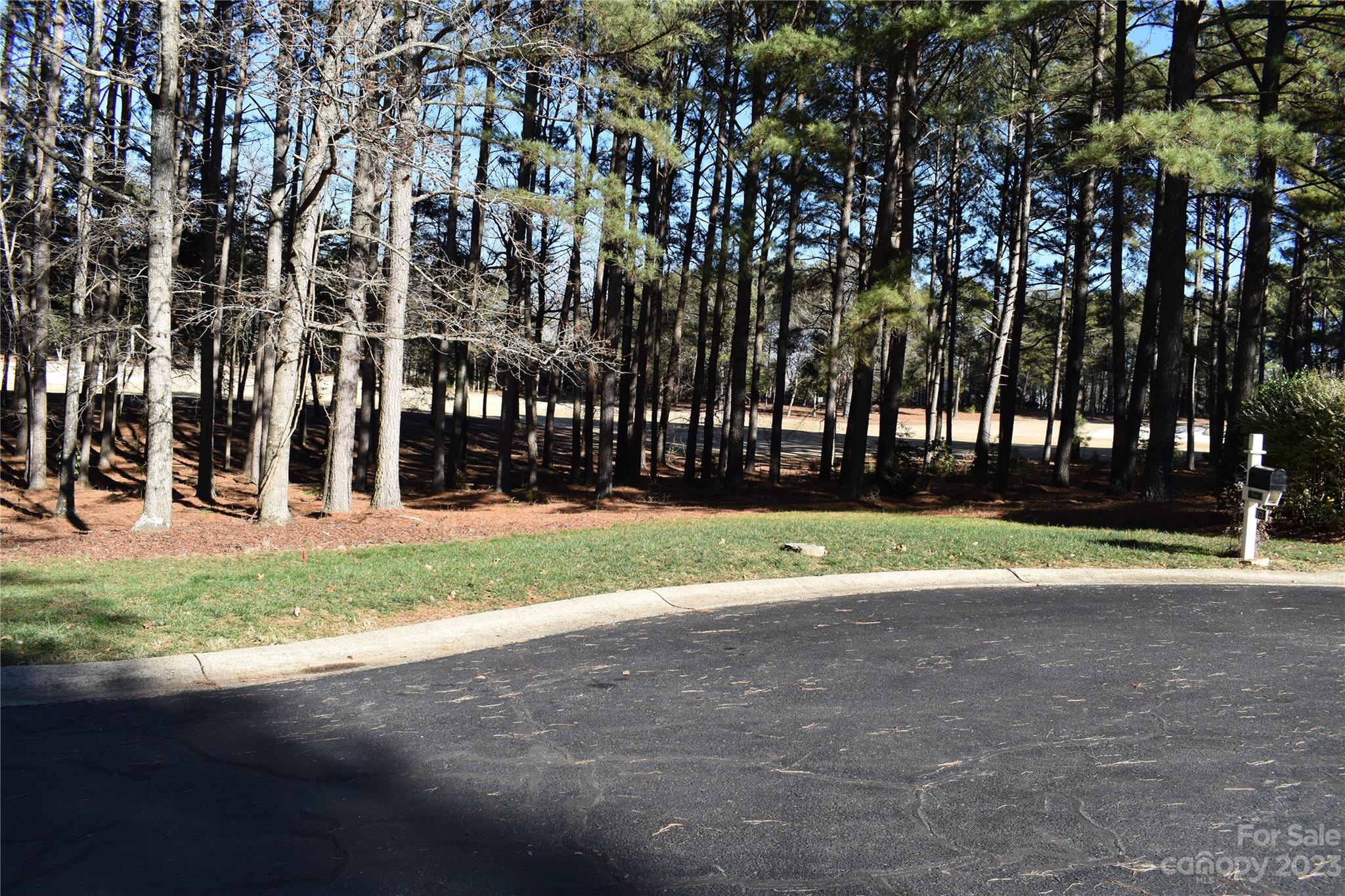 171 Yadkin Falls None 15