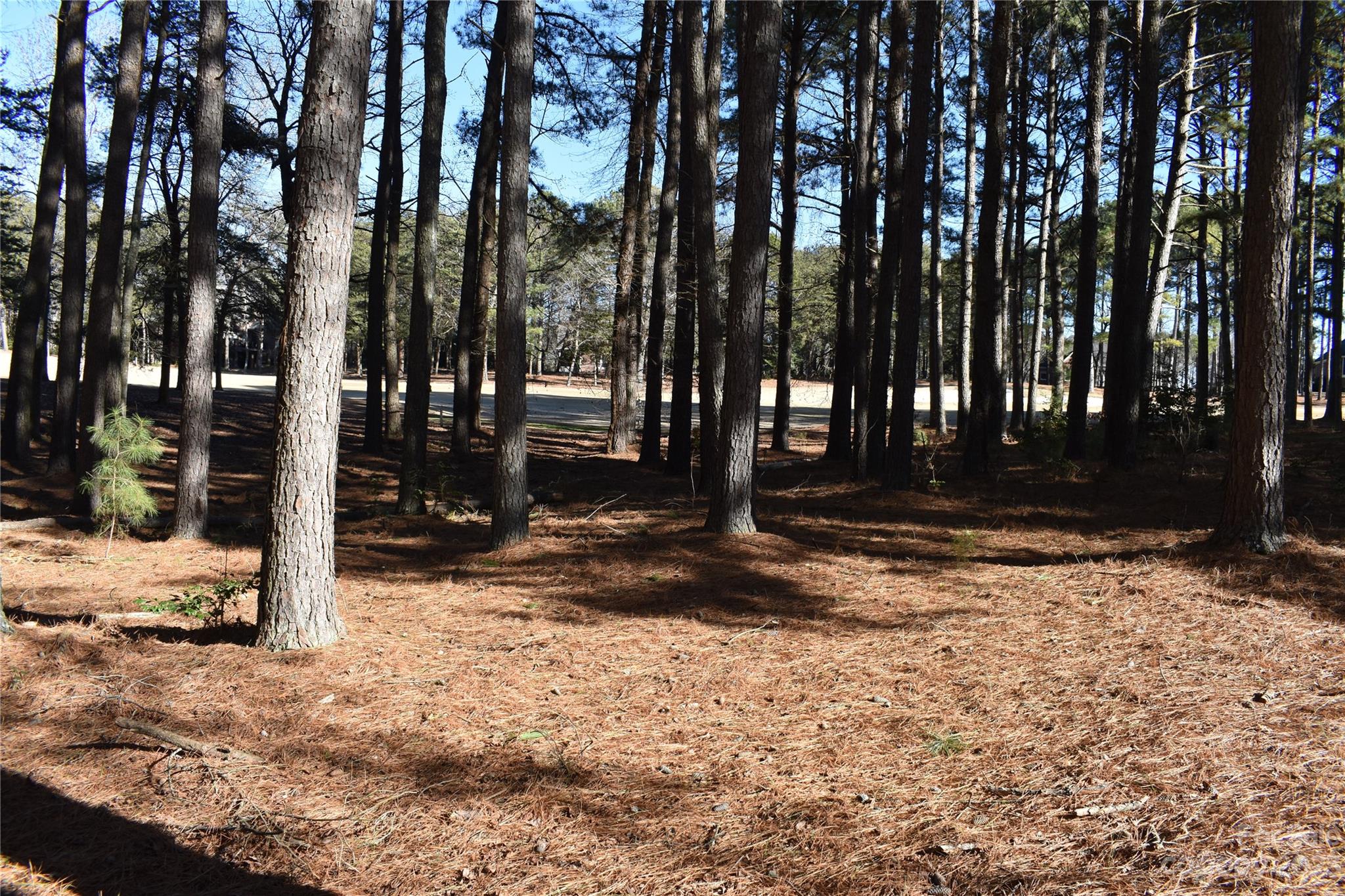 Uwharrie Point - Land