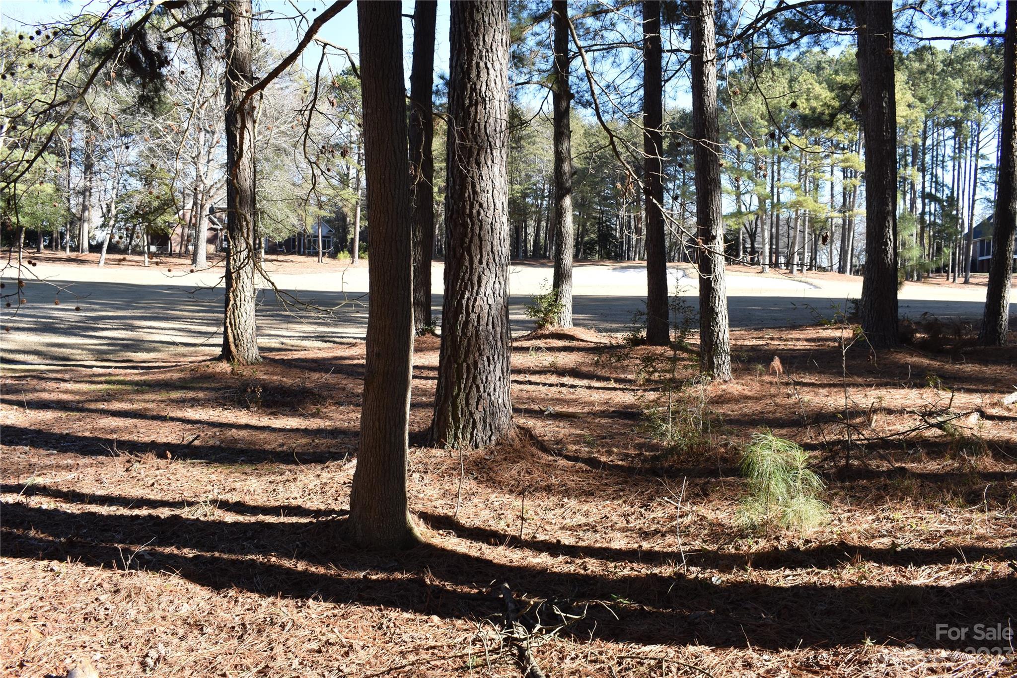 Uwharrie Point - Land