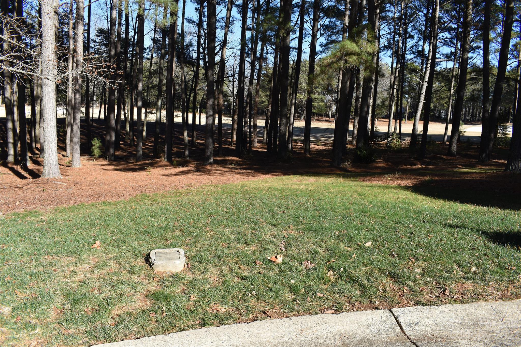 171 Yadkin Falls None 15