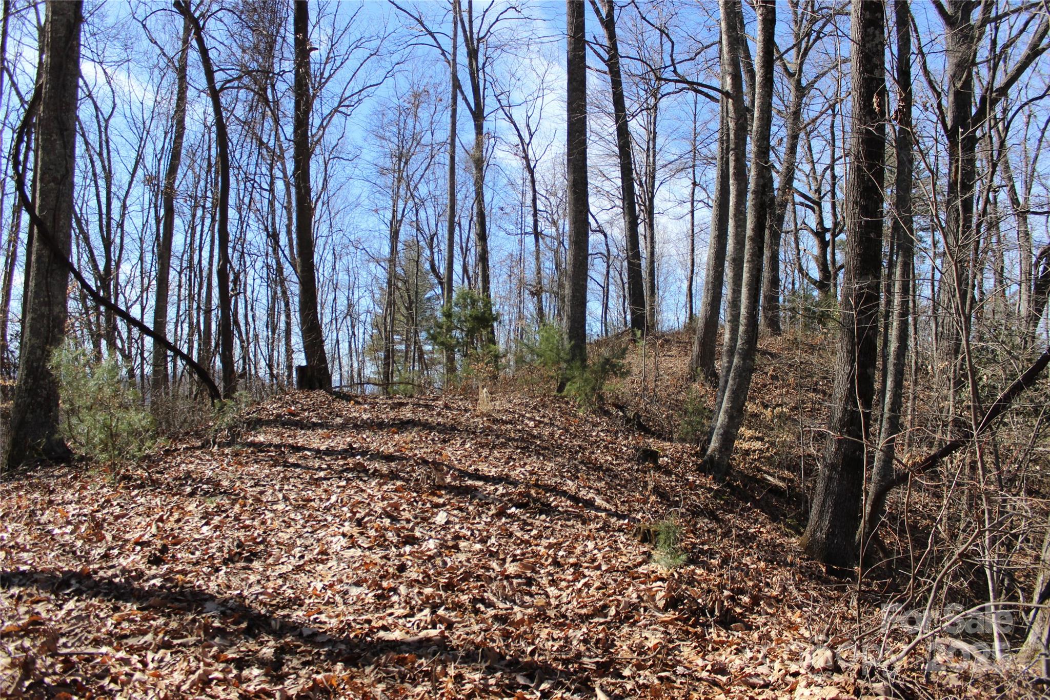 444 Poplar Path