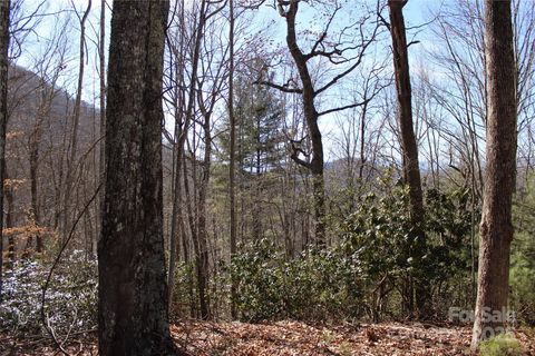 444 Poplar Path Mars Hill NC 28754