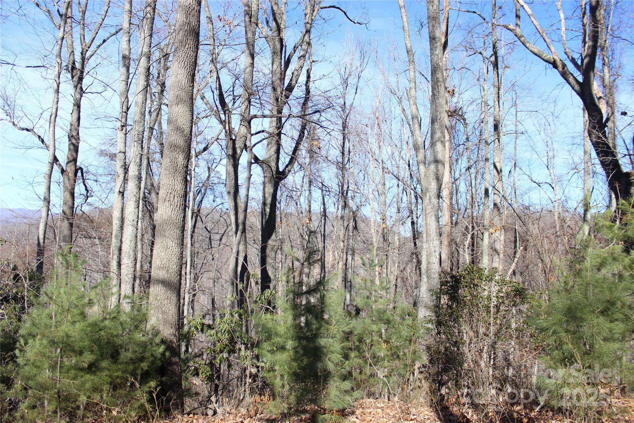 444 Poplar Path