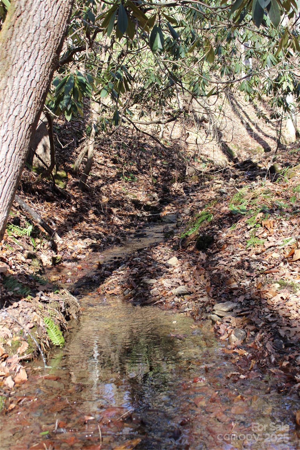 444 Poplar Path