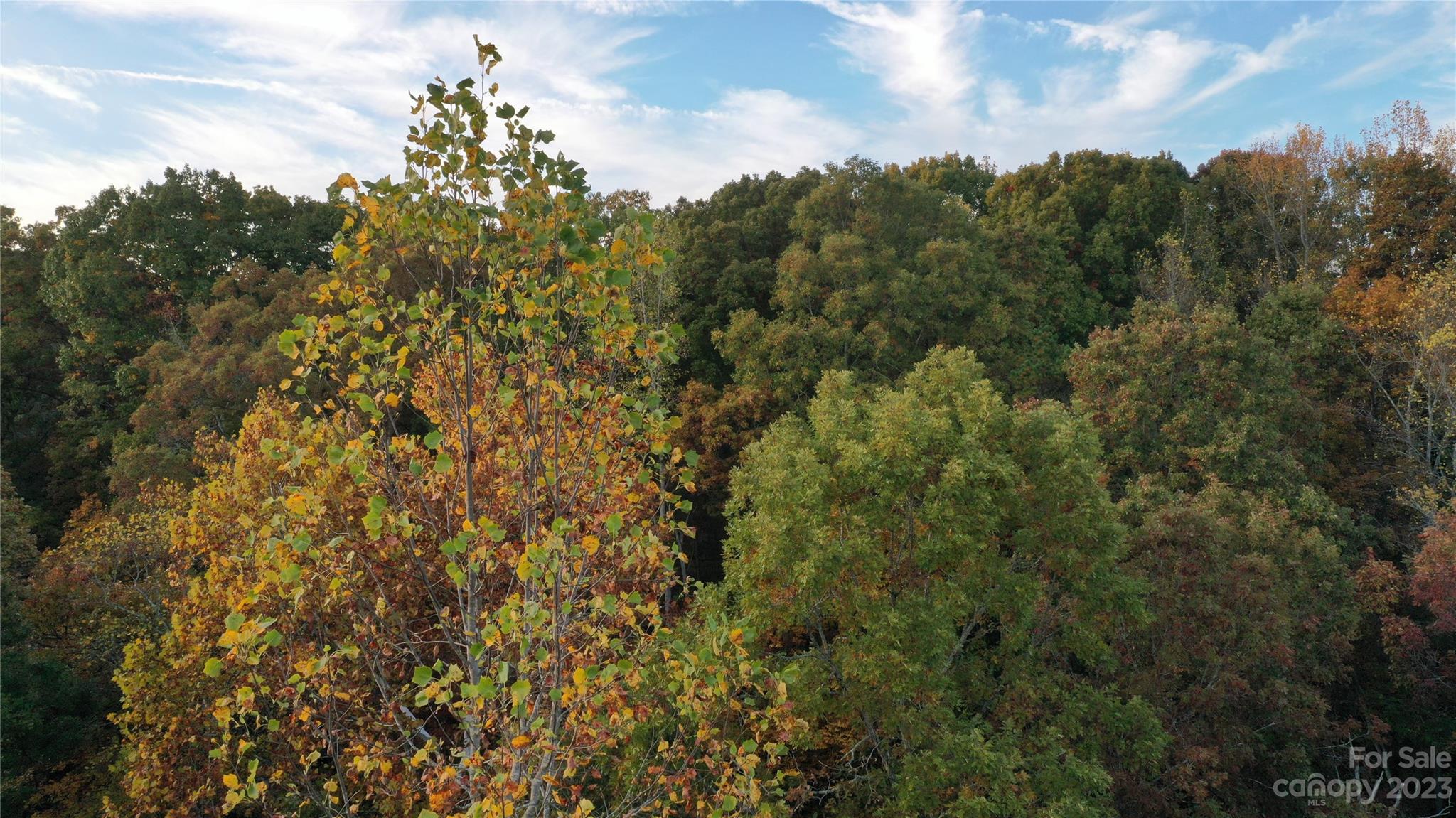 Rock Barn - Residential