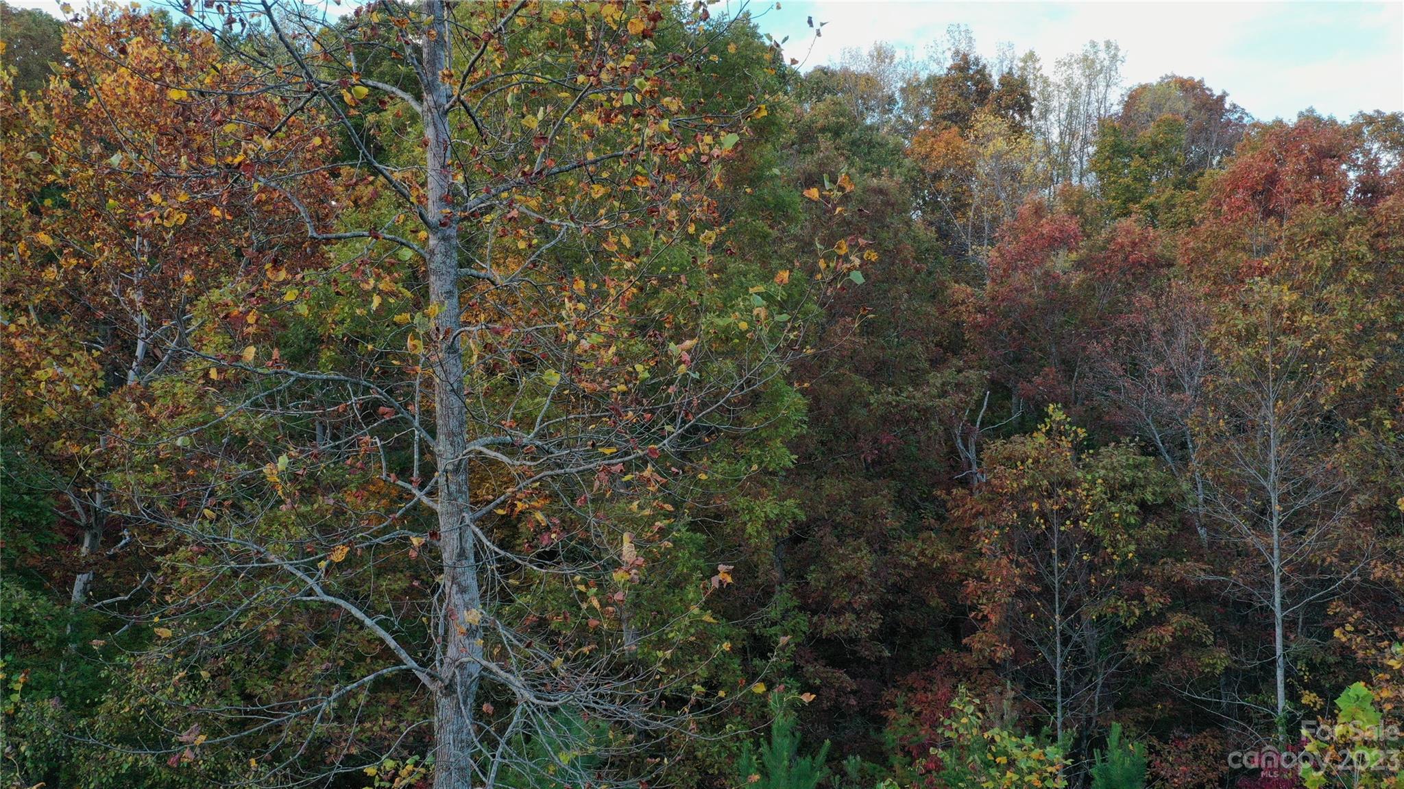 Rock Barn - Residential