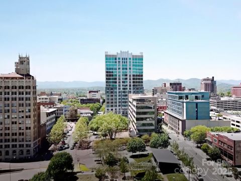 7 Patton Avenue 1103 Asheville NC 28801