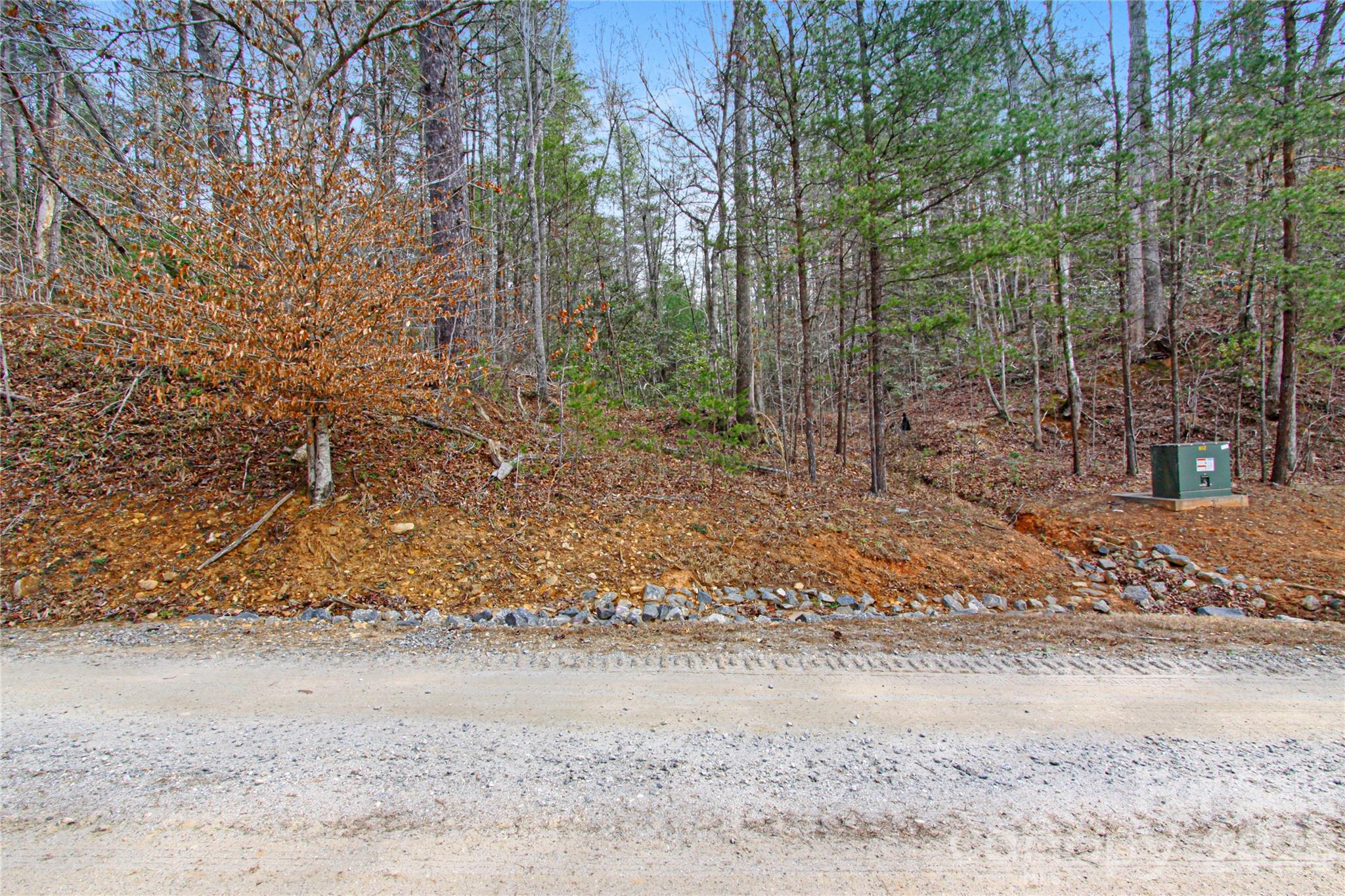 The Coves Mountain River Club - Land