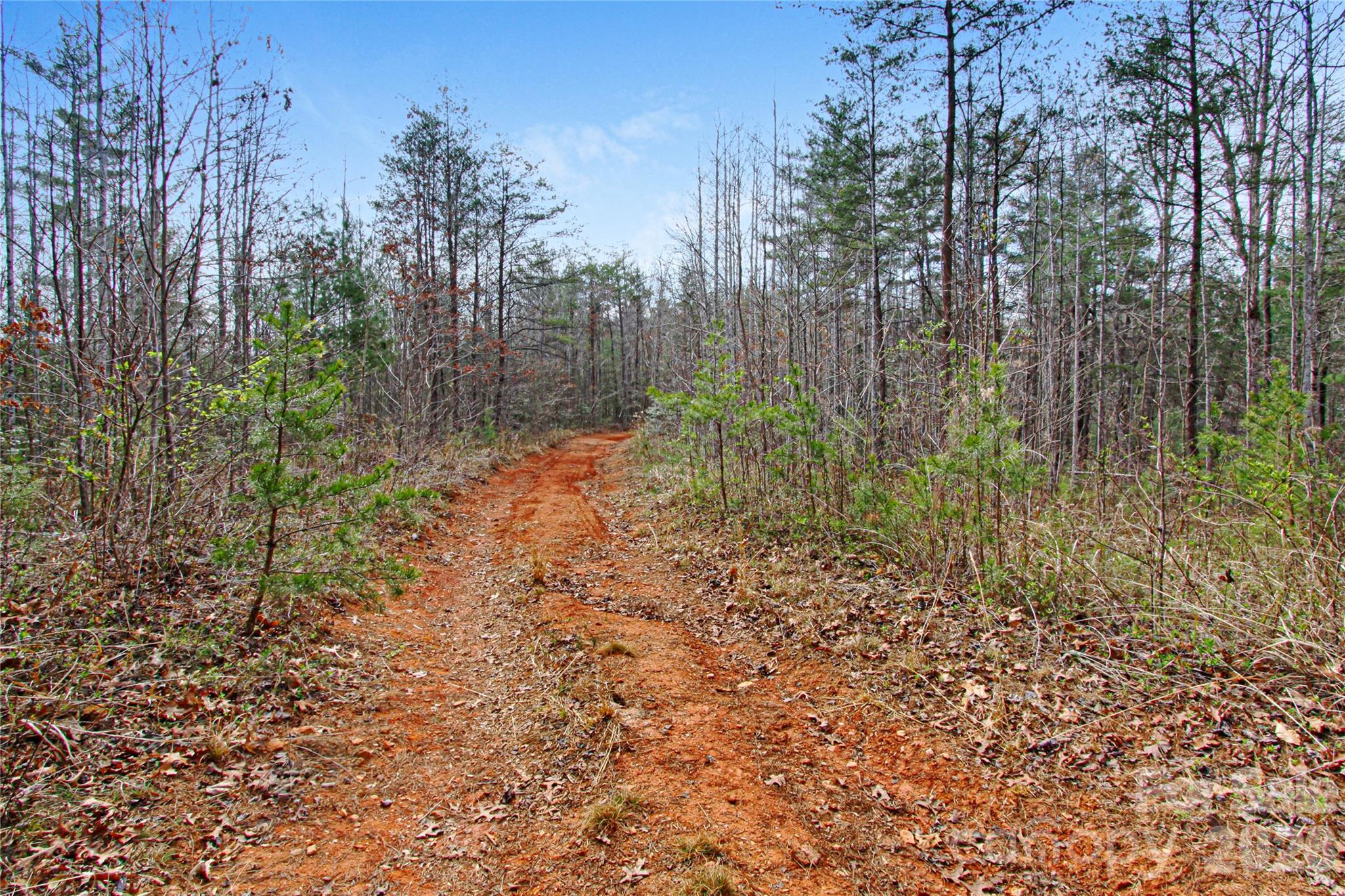 The Coves Mountain River Club - Land