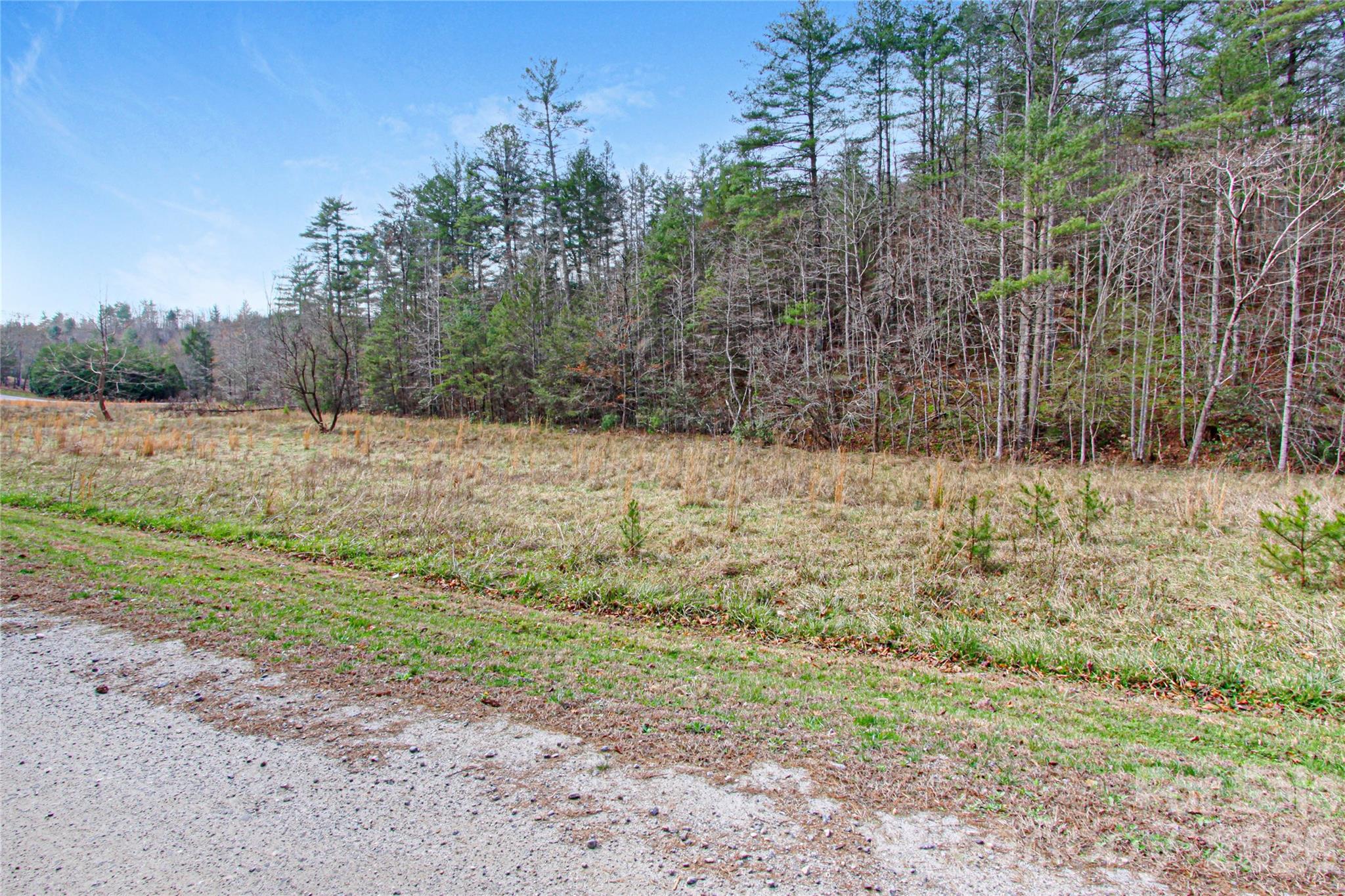 The Coves Mountain River Club - Land