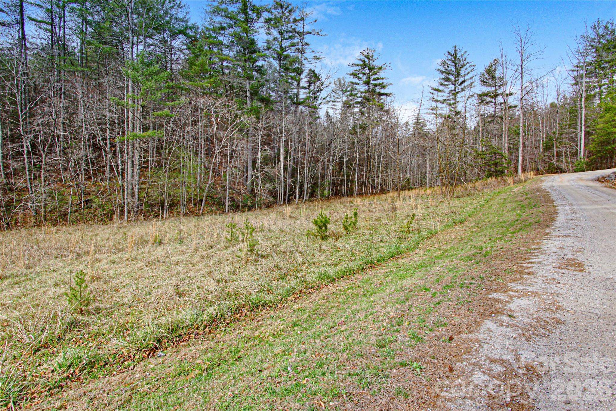 The Coves Mountain River Club - Land