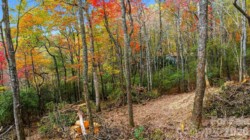 Indian Lake Estates - Land