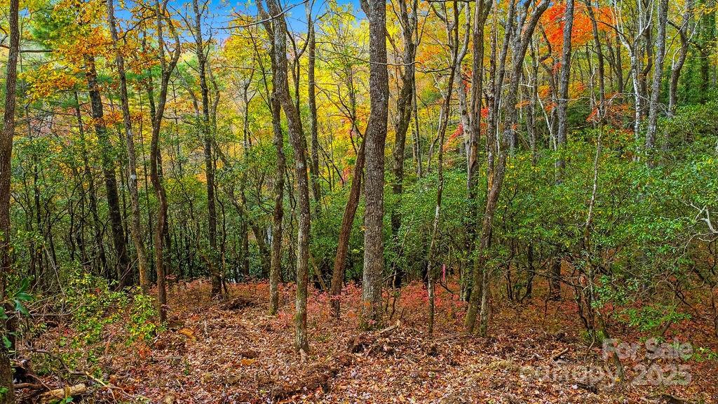 000 Indian Lake Road 21