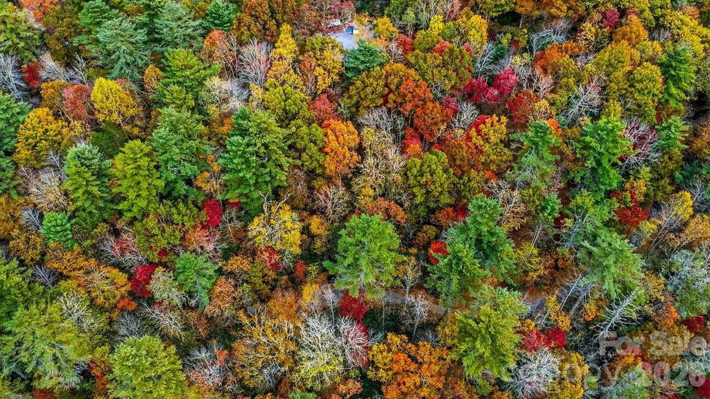 Indian Lake Estates - Land