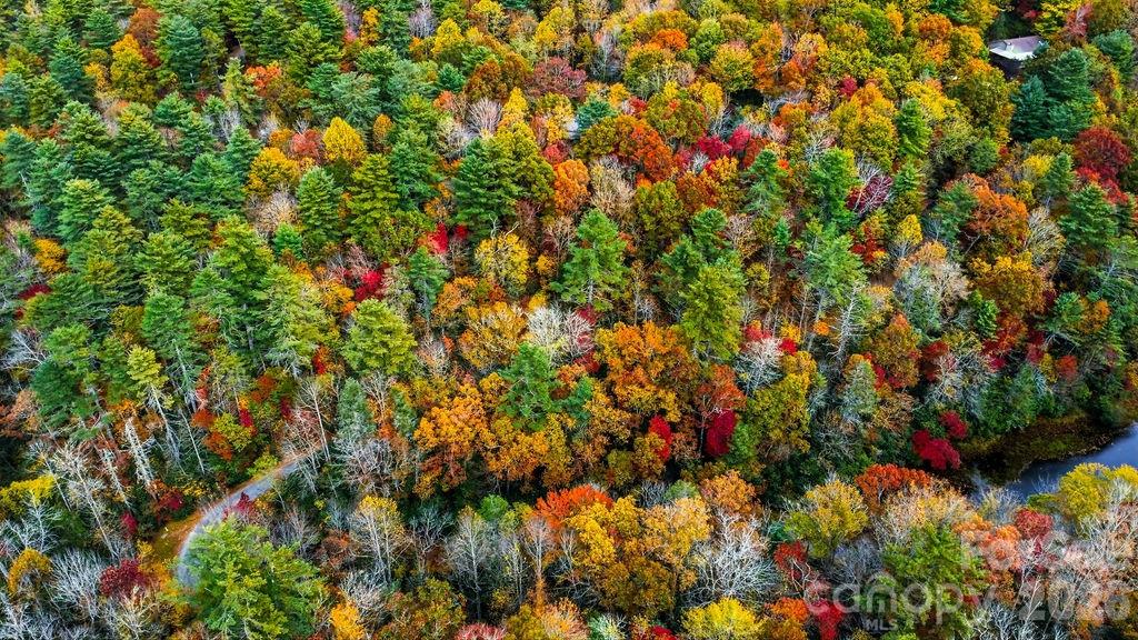 Indian Lake Estates - Land