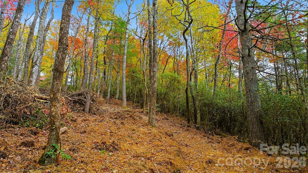 Indian Lake Estates - Land