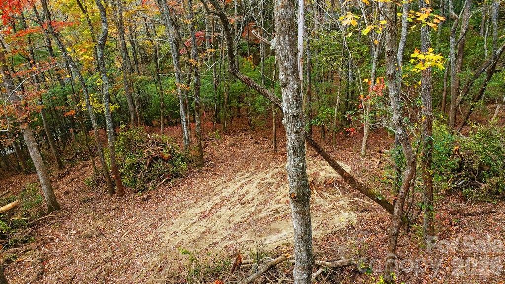 Indian Lake Estates - Land