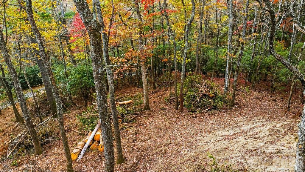 Indian Lake Estates - Land