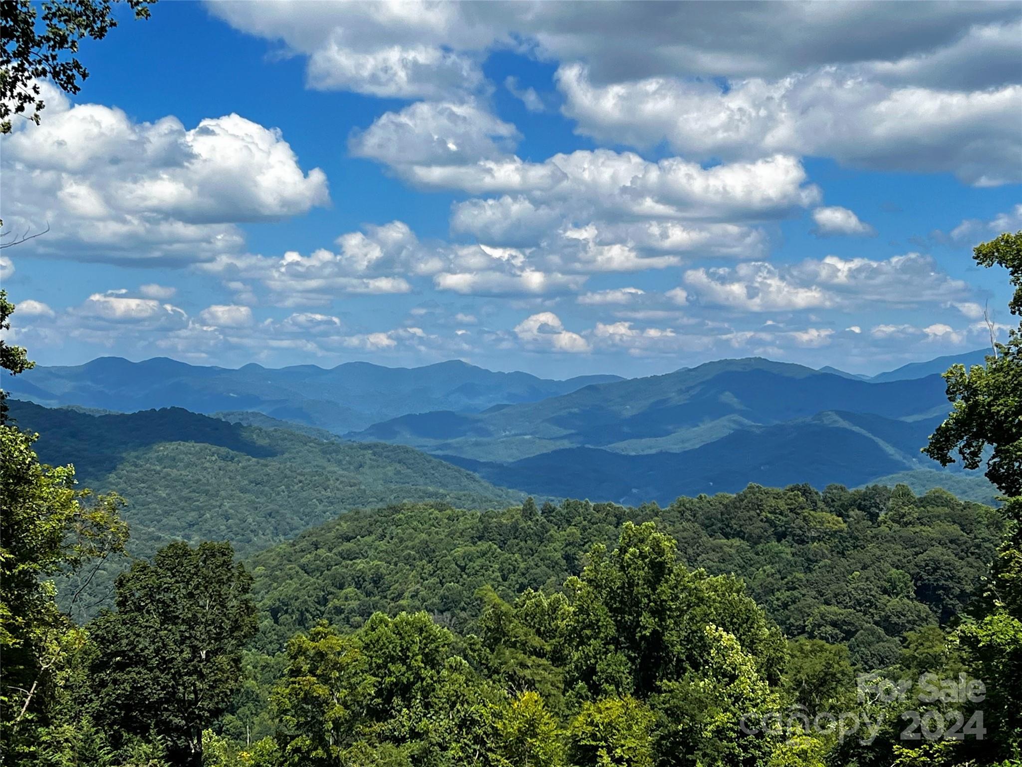 Lot 515 Curry Comb Trail