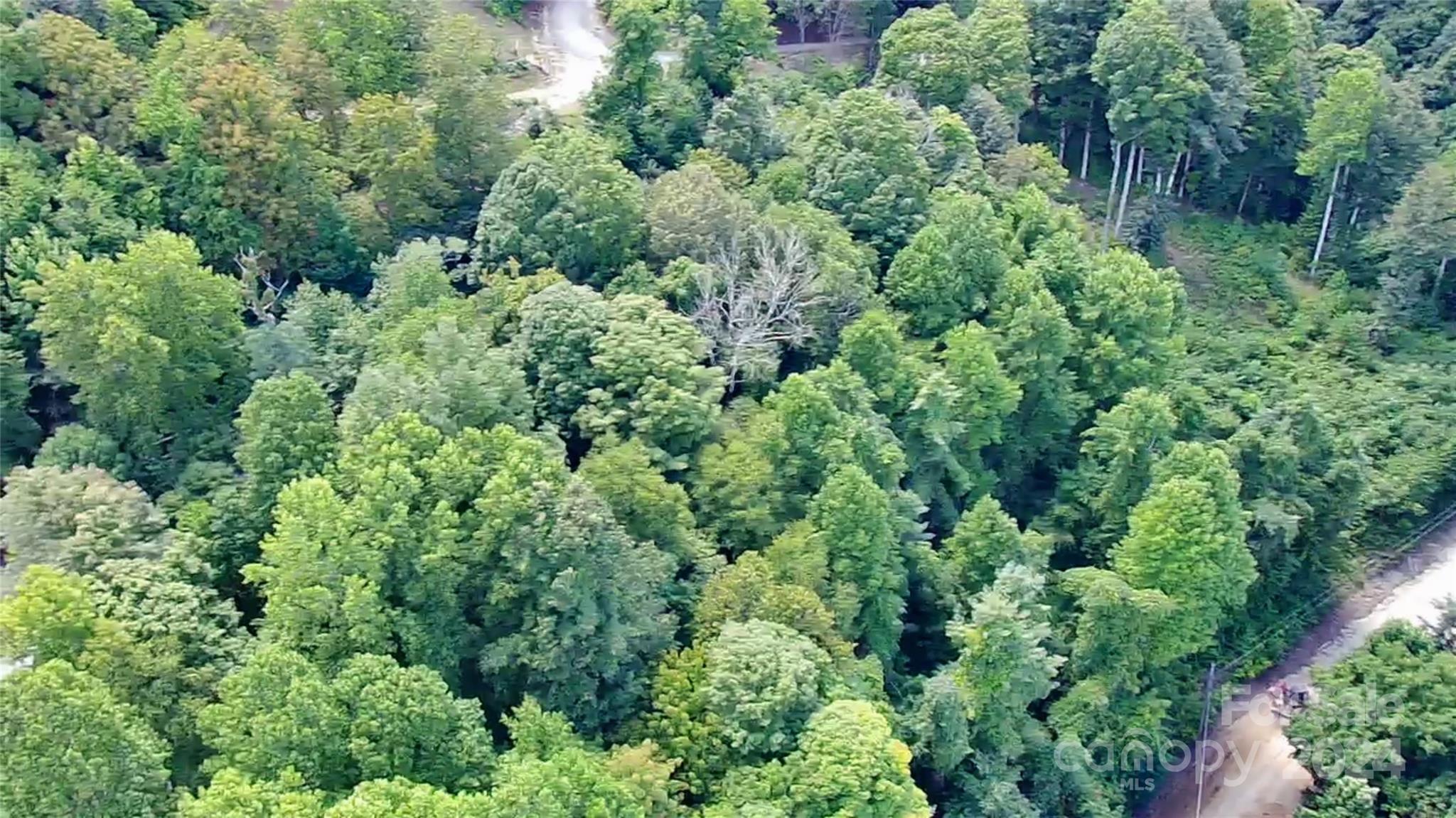 Lot 515 Curry Comb Trail